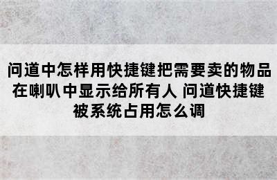 问道中怎样用快捷键把需要卖的物品在喇叭中显示给所有人 问道快捷键被系统占用怎么调